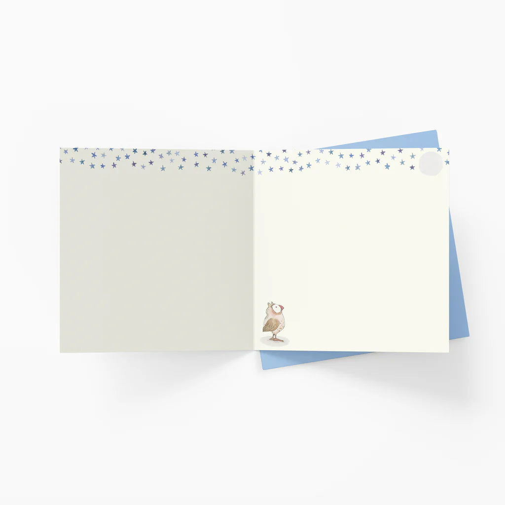 OOMA objects of my affection