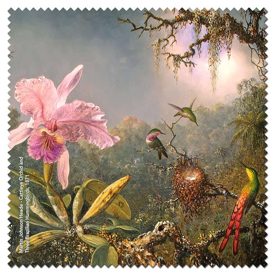 OOMA objects of my affection