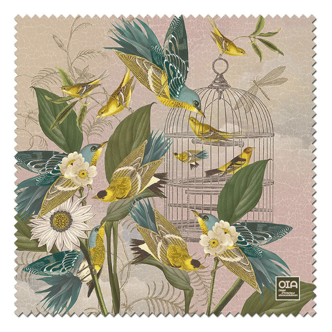 OOMA objects of my affection