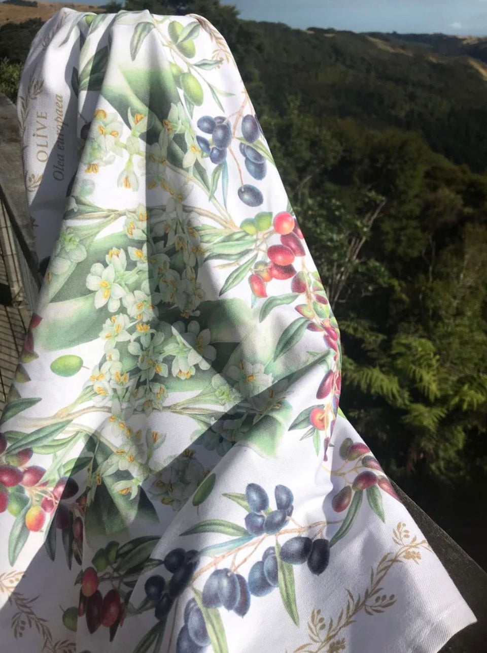 OOMA objects of my affection