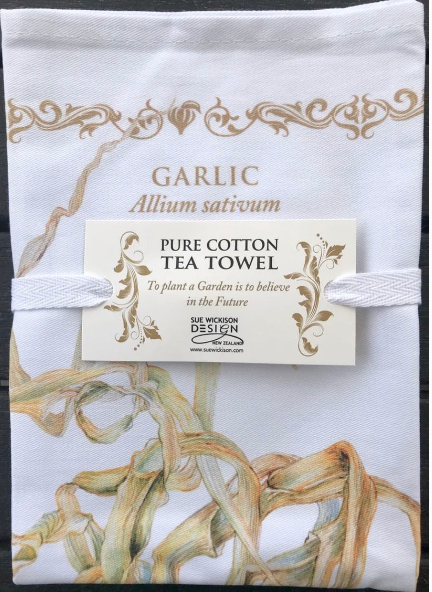 OOMA objects of my affection