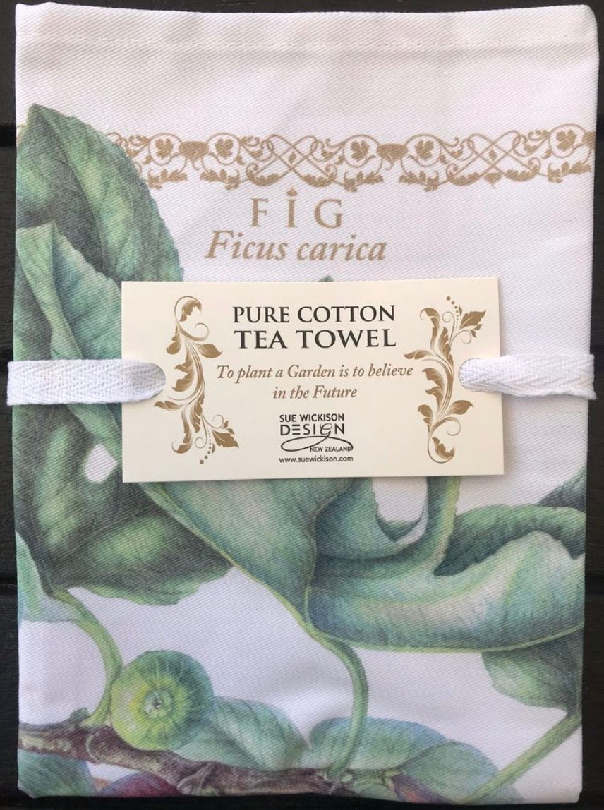 OOMA objects of my affection