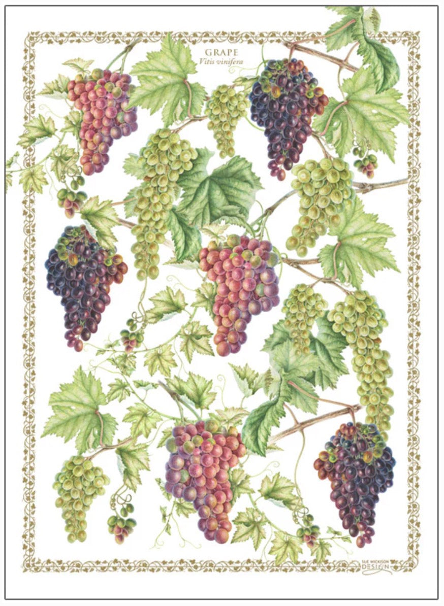 OOMA objects of my affection