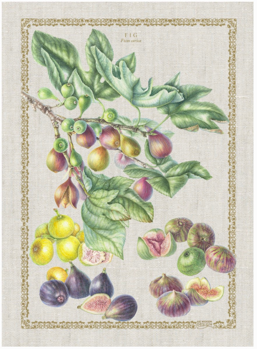 OOMA objects of my affection