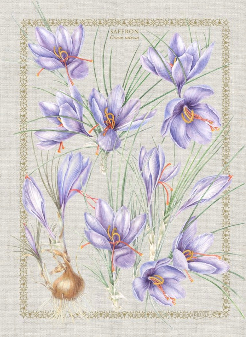 OOMA objects of my affection