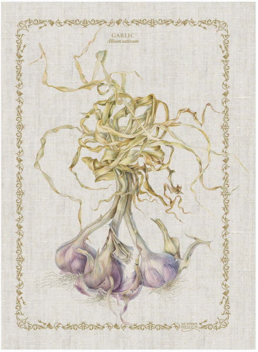 OOMA objects of my affection