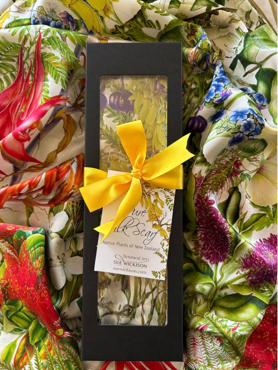 OOMA objects of my affection