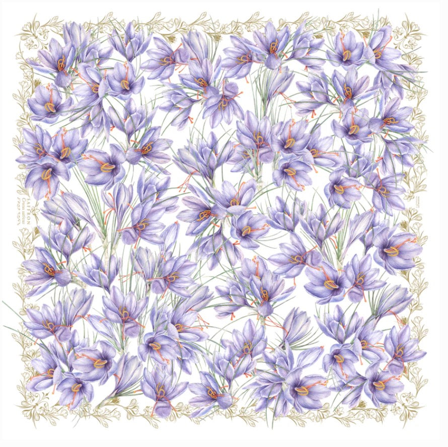 OOMA objects of my affection